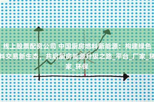 线上股票配资公司 中国厨房燃料新能源：构建绿色燃料交易新生态，共启厨房能源升级之路_平台_厂家_环保
